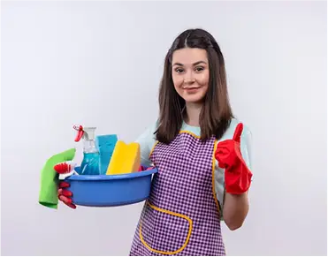 domestic cleaning