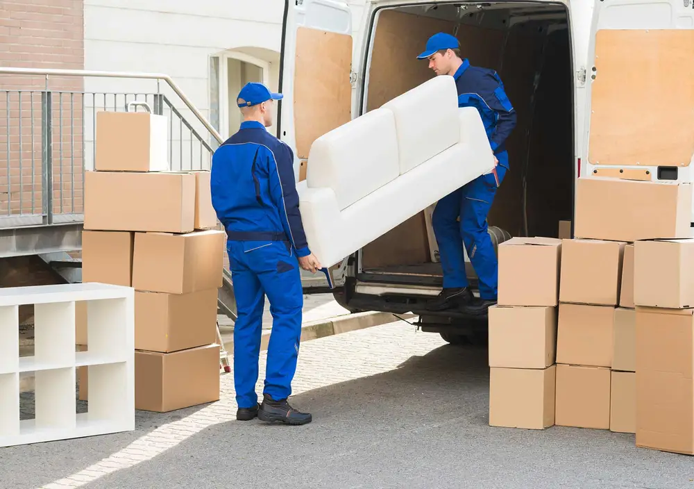 Commercial Domestic Removal
